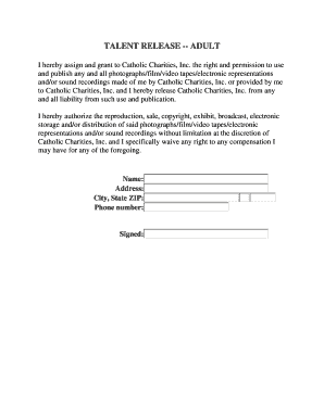Talent Release Agreement