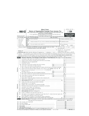 Form 990-EZ 2004