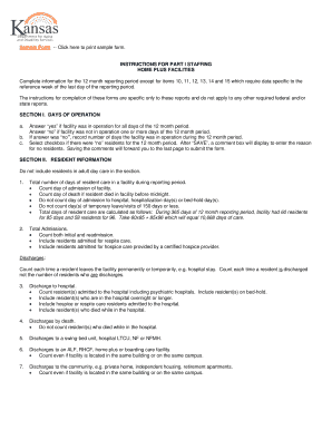 Home Plus Facilities Staffing Report