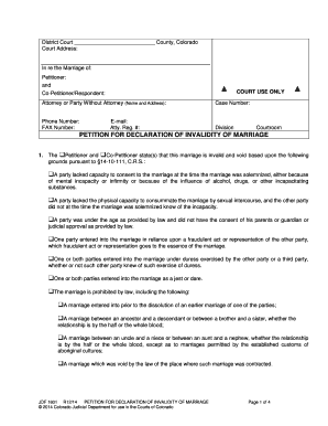 Petition for Declaration of Invalidity of Marriage