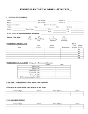 2012 US Individual Income Tax Information Form
