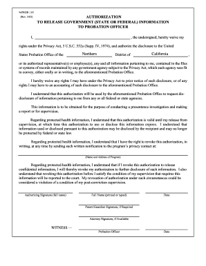 Authorization to Release Government Information to Probation Officer