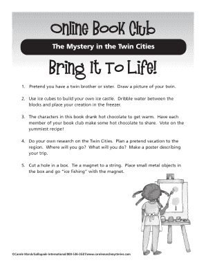 The Mystery in the Twin Cities Book Club Activities