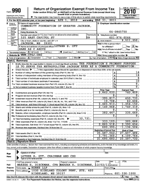 Form 990 2010