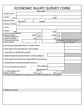 Economic Injury Survey Form