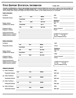 Child Support Statistical Information Form