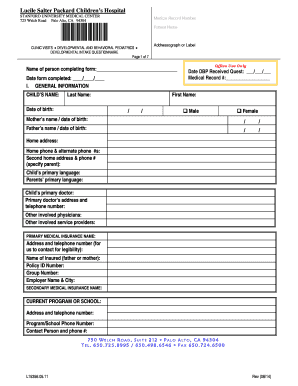 Developmental Intake Questionnaire