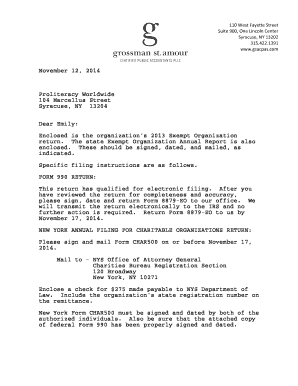 IRS Form 990 2013