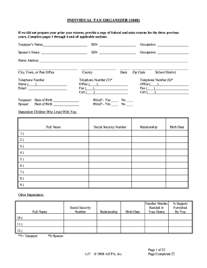 Individual Tax Organizer (1040)