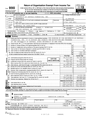 Form 990 Tax Exempt Organization Return