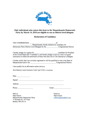 Declaration of Candidacy for Massachusetts Democratic Party Delegate