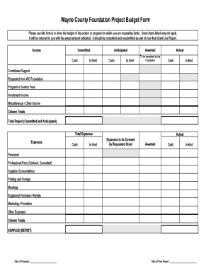 Wayne County Foundation Project Budget Form Cash Inkind Cash Inkind To be completed by the Foundation Cash Inkind Contributed Support Requested from WC Foundation - waynecountyfoundation