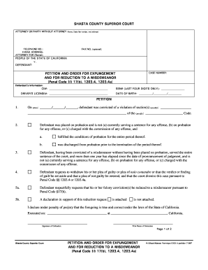 Petition and Order for Expungement and Misdemeanor Reduction