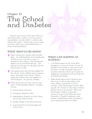 Diabetes School Health Plan