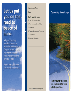 Vehicle Purchase Protection Options