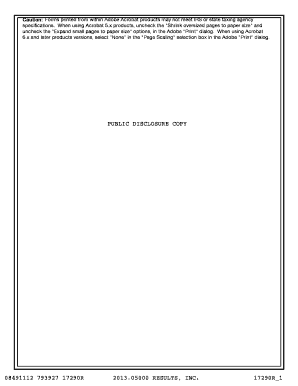 IRS Form 990 2013