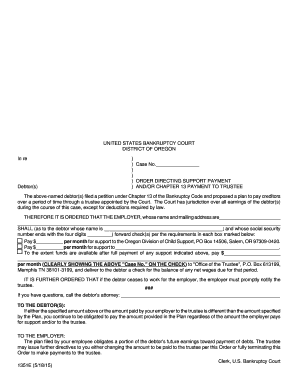 Chapter 13 Bankruptcy Support Payment Order