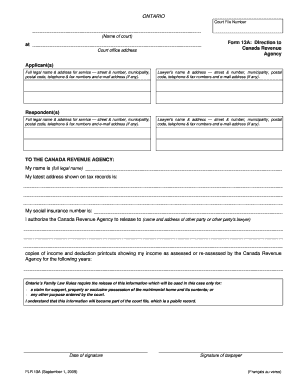 Ontario Form 13A: Direction to Court