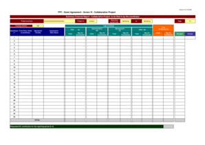 FP7 Grant Agreement Annex VI Financial Report