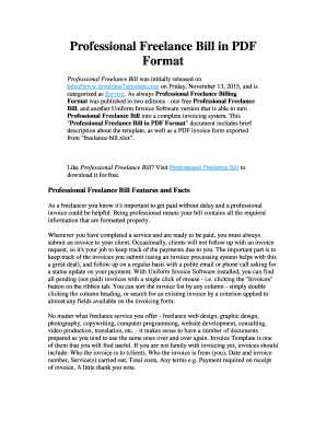 Professional Freelance Bill Template