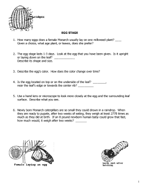Monarch Butterfly Life Cycle Observation Form