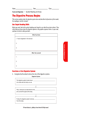 Digestive System Worksheet