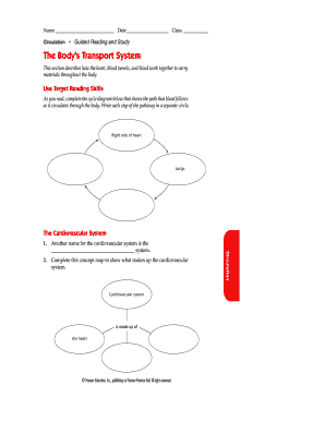 Circulation Worksheet