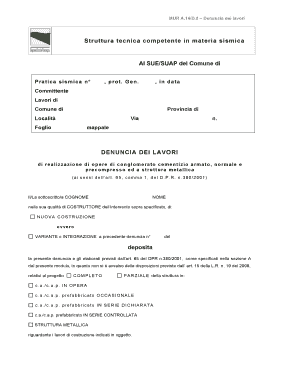 Denuncia dei lavori