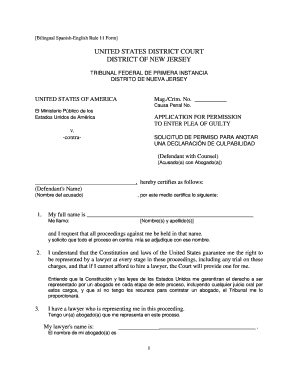 US Federal Criminal Guilty Plea Application