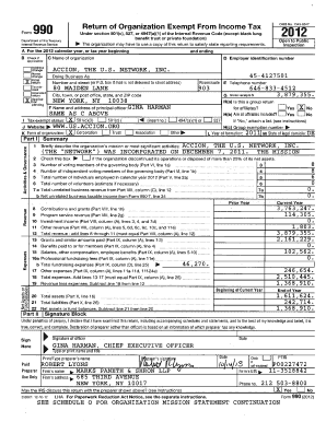 Form 990 Tax Exempt Organization Return