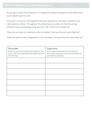 Science Lab Worksheet