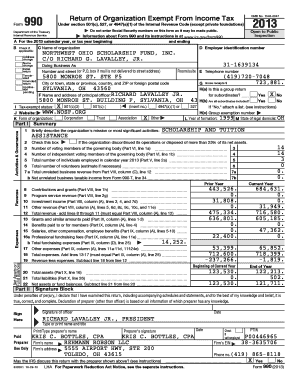Form 990 2013