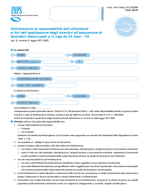 Dichiarazione di responsabilità dell’utilizzatore