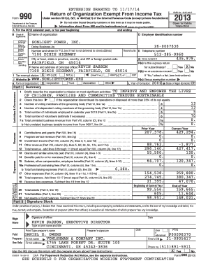 Form 990 2013