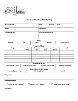 Tier 2 Level 3 Action Plan Meeting