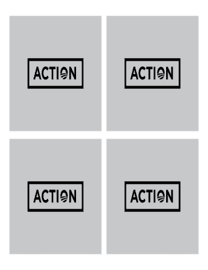 Organizing for Action Volunteer Form