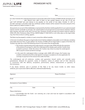 AVMA Life Promissory Note