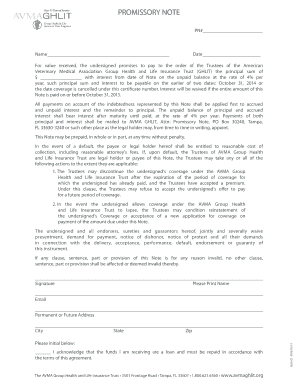 Promissory Note for AVMA Group Health and Life Insurance Trust