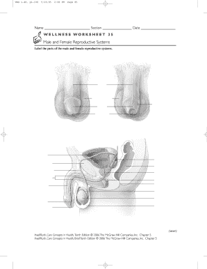 Wellness Worksheet 35