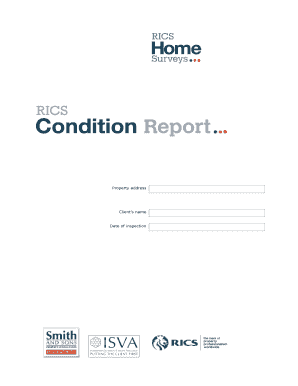 RICS Condition Report