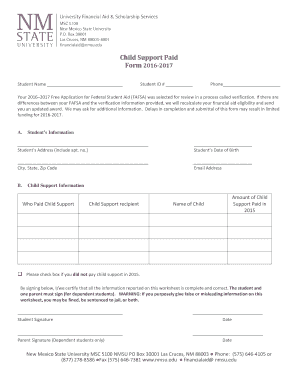 Child Support Verification Form