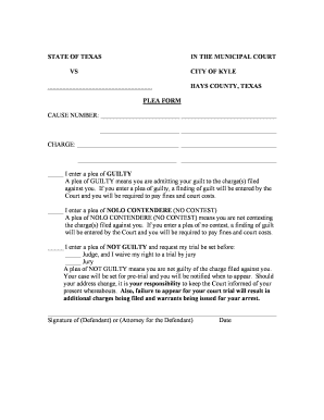 Texas Plea Form