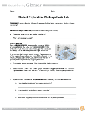 Photosynthesis Lab Activity Worksheet