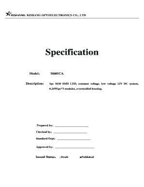 Rishang Optoelectronics Product Specification