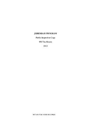 IRS Form 990 2013