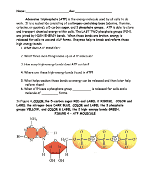 ATP Worksheet