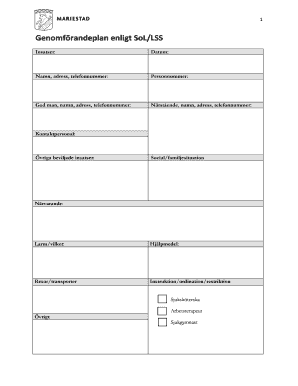 Implementation Plan According to SoL/LSS