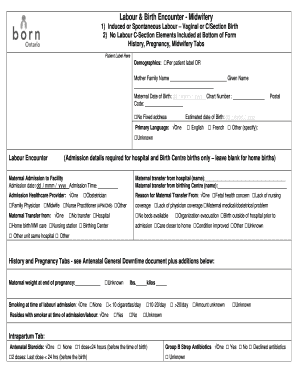 Labour and Birth Encounter Midwifery Form