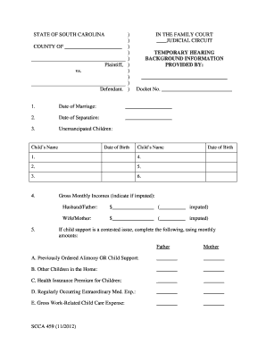 South Carolina Temporary Hearing Form