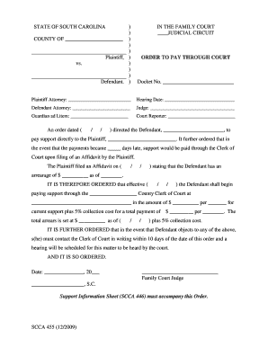 South Carolina Order to Pay Through Court